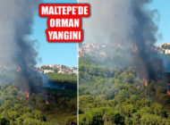İstanbul Maltepe’deki Orman Yangını Söndürüldü