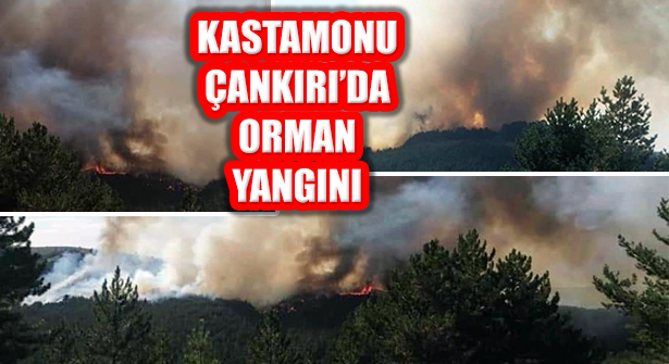 Çankırı Yapraklı ve Kastamonu Taşköprü’de Orman Yangını