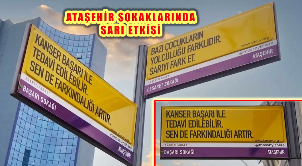 Ataşehir Sokaklarında Farkındalık Amaçlı Sarı Etkisi