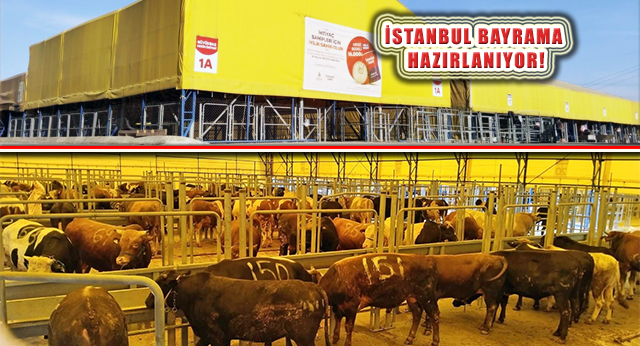 İstanbul Denetim ve Ekiplerle Kurban Bayramına Hazırlanıyor