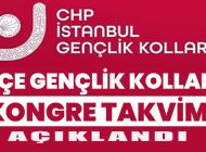 CHP İstanbul İlçe Gençlik Kolları Kongre Takvimi Açıklandı