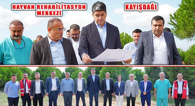 Sokak Hayvanları İçin 80 Bin M2 Hayvan Rehabilitasyon Merkezi Projesi