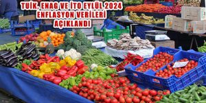 TÜFE Eylül 2024 Yıllık Ve Aylık Enflasyon Verileri Açıklandı