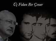 Üç Fidan Bir Çınar