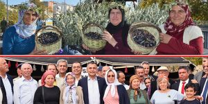 Manavgat Zeytin ve Zeytinyağı Festivali Coşkuyla Başladı