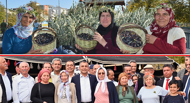 Manavgat Zeytin ve Zeytinyağı Festivali Coşkuyla Başladı