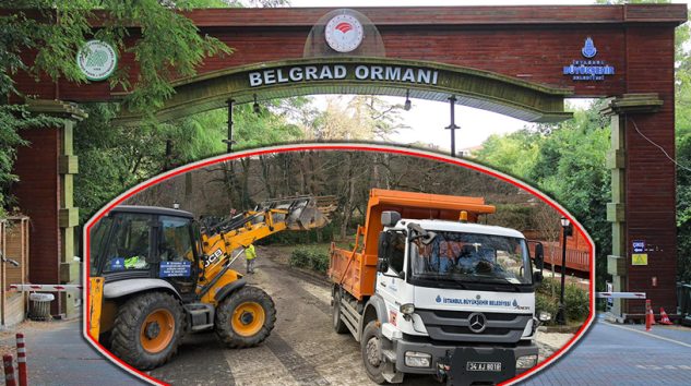 İBB, ‘Belgrad Ormanı Hukuk Mücadelesi Devam Ediyor’