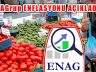 ENAG ve İTYO Kasım 2024 Enflasyon Verileri Açıklandı