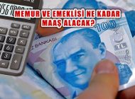 Sosyal Destek, Memur ve Emeklisi Maaşı Ne Oldu?